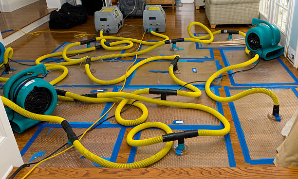 Professional Storm Water Damage Restoration technician working in Erie, CO